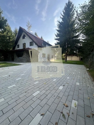 Casa de vacanta vs Afacere la cheie Valea Avrigului