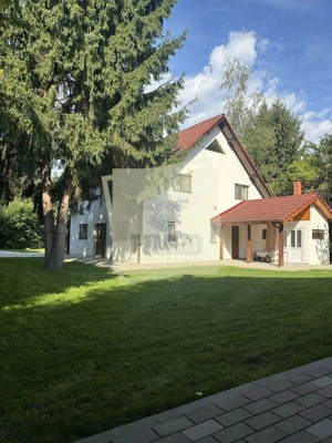 Casa de vacanta vs Afacere la cheie Valea Avrigului - imagine 2