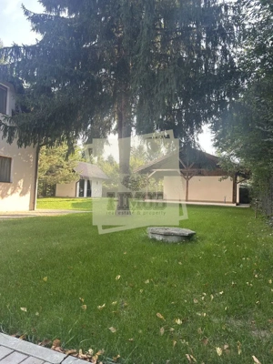 Casa de vacanta vs Afacere la cheie Valea Avrigului - imagine 8