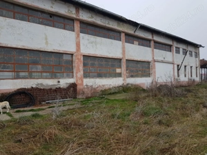 hală de vânzare în berzovia, județul caraș severin - imagine 3