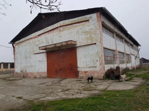 hală de vânzare în berzovia, județul caraș severin - imagine 2