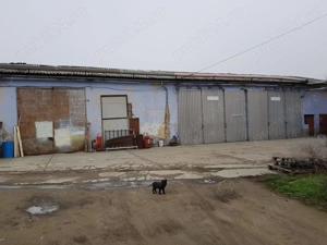 hală de vânzare în berzovia, județul caraș severin - imagine 4