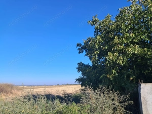 Teren la doar 13 km de Slatina - imagine 7