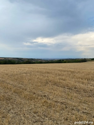 teren Bucovat - imagine 3