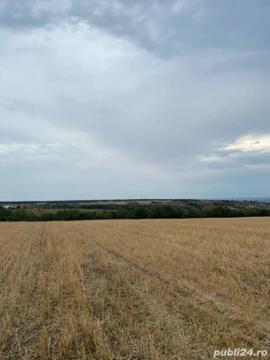 teren Bucovat - imagine 2