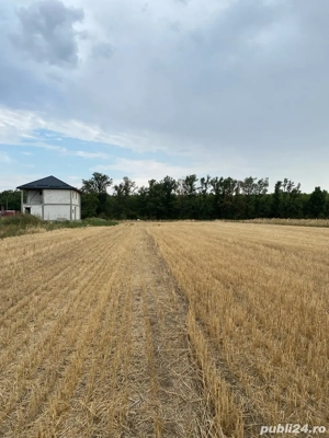 teren Bucovat - imagine 4