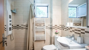 Casa individuala Dristor - imagine 9