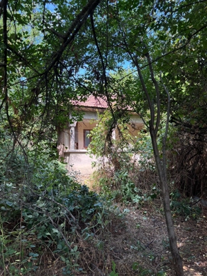 Teren intravilan Gostinu Giurgiu 1641mp