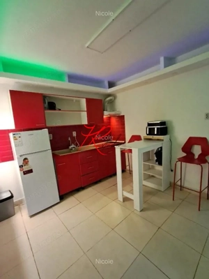 Vanzare garsoniera Mosilor in vila - imagine 2