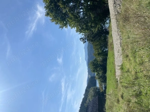 Teren de vânzare Buhalnita - imagine 2