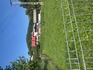 Teren de vânzare Buhalnita - imagine 3