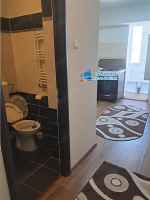 de inchiriat gars 42 mp  fratii golesti  la cheie - imagine 9