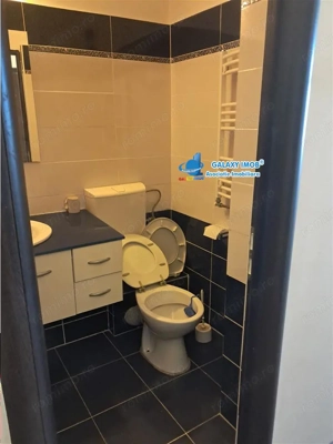 de inchiriat gars 42 mp  fratii golesti  la cheie - imagine 11