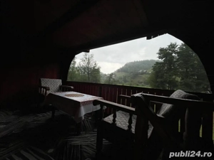 Cabana Trei Paltini  - imagine 2 Cabana Trei Paltini  - imagine 2