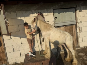 Vand Manz Tinker - imagine 2