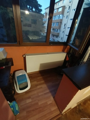 Proprietar, Sagului -Dambovita,Cu Centrala,Etajul 1, Decomandat,Modelul Cel Mai Mare - imagine 12