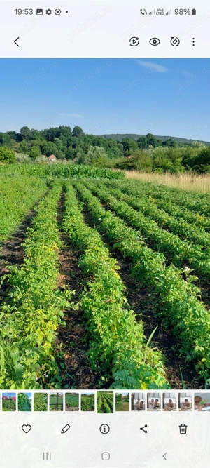 Teren de vînzare în Suseni