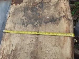 Cherestea uscata stejar