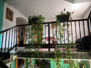 Casa 250 mp utili, 1450 mp teren, zona Balta Verde - imagine 16