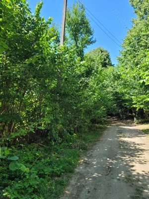 Teren Spectaculos de vânzare intravilan  Stațiunea Climaterică Sâmbăta  - imagine 5