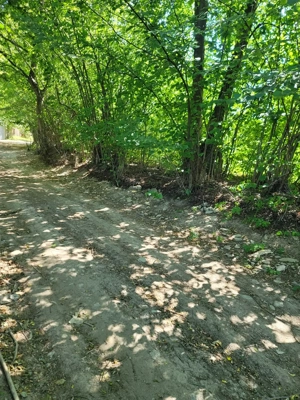 Teren Spectaculos de vânzare intravilan  Stațiunea Climaterică Sâmbăta  - imagine 7