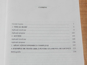 Aplicatii economice in Visual Basic si Access II 2005 D Fusaru - imagine 4