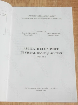 Aplicatii economice in Visual Basic si Access II 2005 D Fusaru - imagine 2