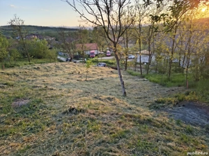 Teren extravilan - 1686 mp - imagine 4