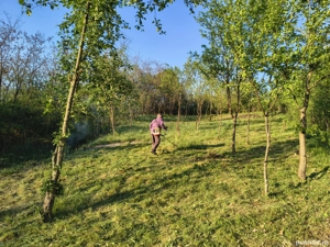 Teren extravilan - 1686 mp - imagine 5