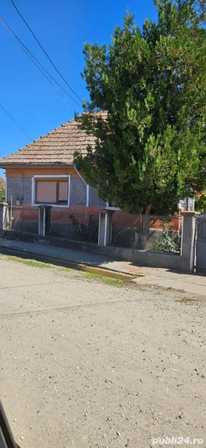 Vand casă în comuna Sâncel, Jud Alba - imagine 4