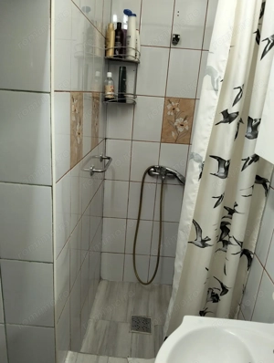 CI591 Complex-Banatul,1 camera,centrala - imagine 9