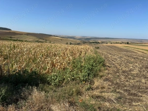 Teren în comuna Perieni, Jud Vsslui. 10000 mp