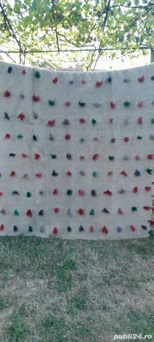 Vind pricoiti din lîna țurcanu 