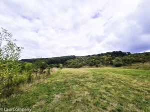 Teren 1,4 hectare Draganu Arges