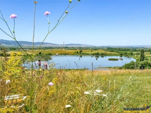 Teren 14.000 mp in statiunea Covasna, ideal pentru rezidential vacanta sau agrement - imagine 7