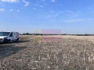 Teren Domnesti strada Ciocarliei.