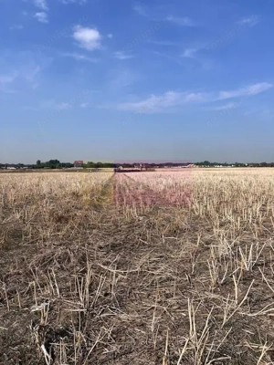Teren Domnesti strada Ciocarliei. - imagine 2