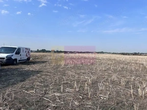 Teren Domnesti strada Ciocarliei. - imagine 3