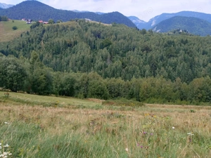 Teren intravilan de vânzare în Peștera   2.000 mp cu drum, apă și electricitate  (lot 1)