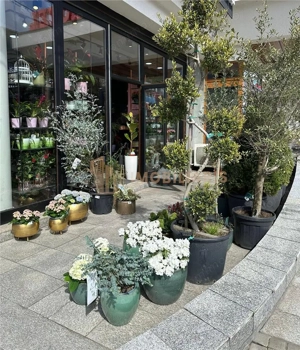 Afacere la cheie - Florarie cu traditie, pozitionata central