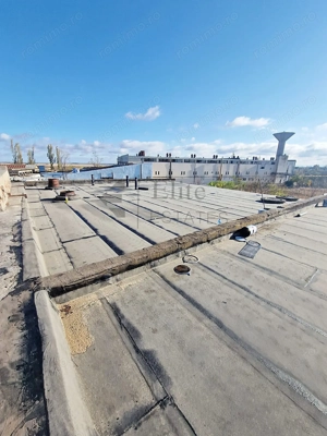 Complex industrial cu 4 hale și teren 15.568 mp in Salonta - imagine 5