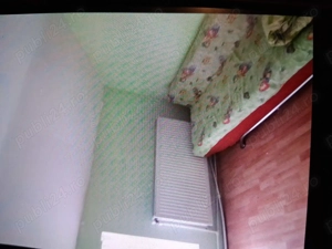 Cabana la munte tarcau - imagine 4 Cabana la munte tarcau - imagine 4