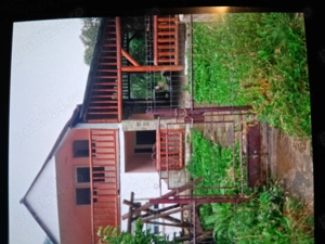 Cabana la munte tarcau - imagine 5 Cabana la munte tarcau - imagine 5