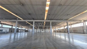 Hala industriala Timisoara, 2500 - 7500 mp , Calea Sagului - imagine 6