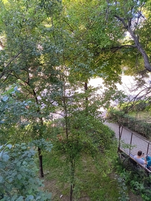 Vand apartament 2 camere, la et.1 in Giurgiu cu vedere in Sos.Bucuresti, în blocul Motanul Încălțat. - imagine 6