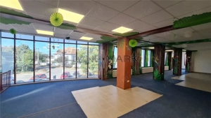 Cladire comerciala 600 mp utili , zona Sagului - imagine 3