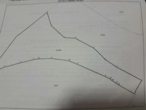 Teren Extravilan de Vânzare