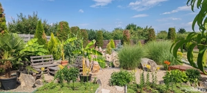 2 Case cu CF separat independente - imagine 5