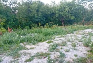 -teren intravilan, loc. Daesti, jud. Valcea