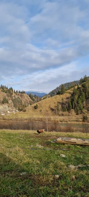  Teren montan cu peisaje de poveste   ideal pentru cabane A-frame sau turism   Vatra Dornei  - imagine 3